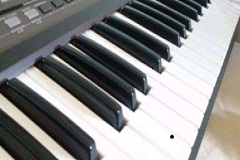 Musical Instruments Carnatic Keyboard